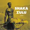 Lesedi - Shaka Zulu - Single